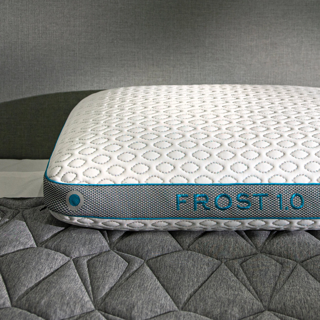 Frost Performance Pillow
