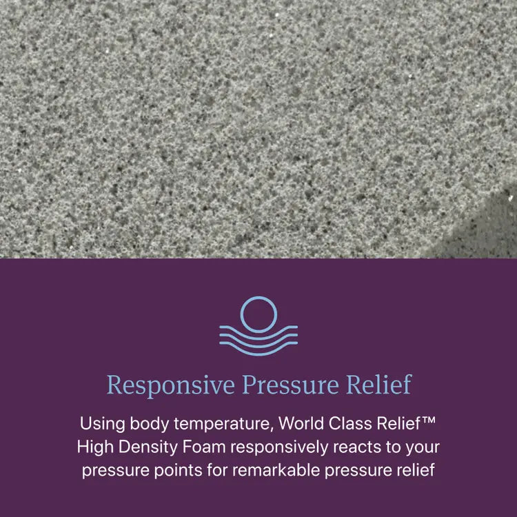 Beautyrest World Class Level Four Medium TT