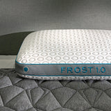 Frost Performance Pillow