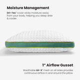 Astro Kids Pillow + Bonus Pillowcase