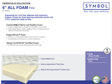 6" All Foam Firm Mattress