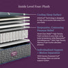 Beautyrest World Class Level Four Plush