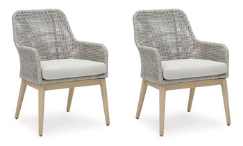 Arm Chair With Cushion (2/CN) Seton Creek Gray